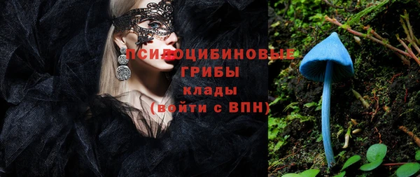 шишки Елабуга