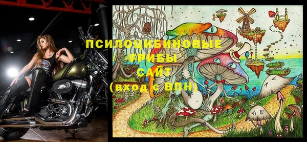 герыч Абинск