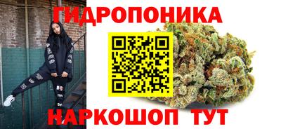 Альфа ПВП Комсомольск-на-Амуре