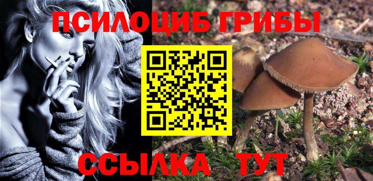 Костомукша  Псилоцибиновые грибы Psilocybine cubensis  Вход с VPN 